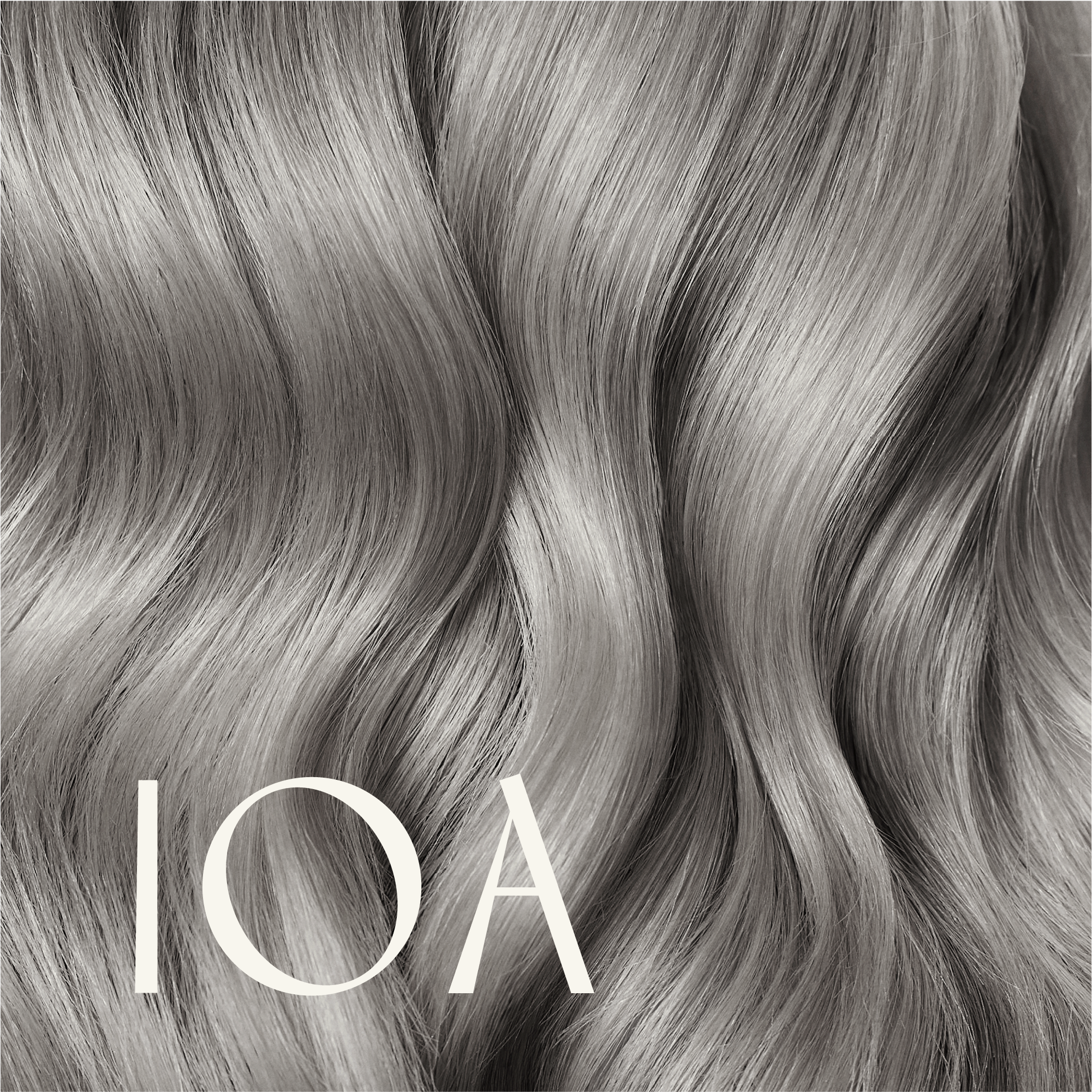 ‍True Color Shades (100% off)