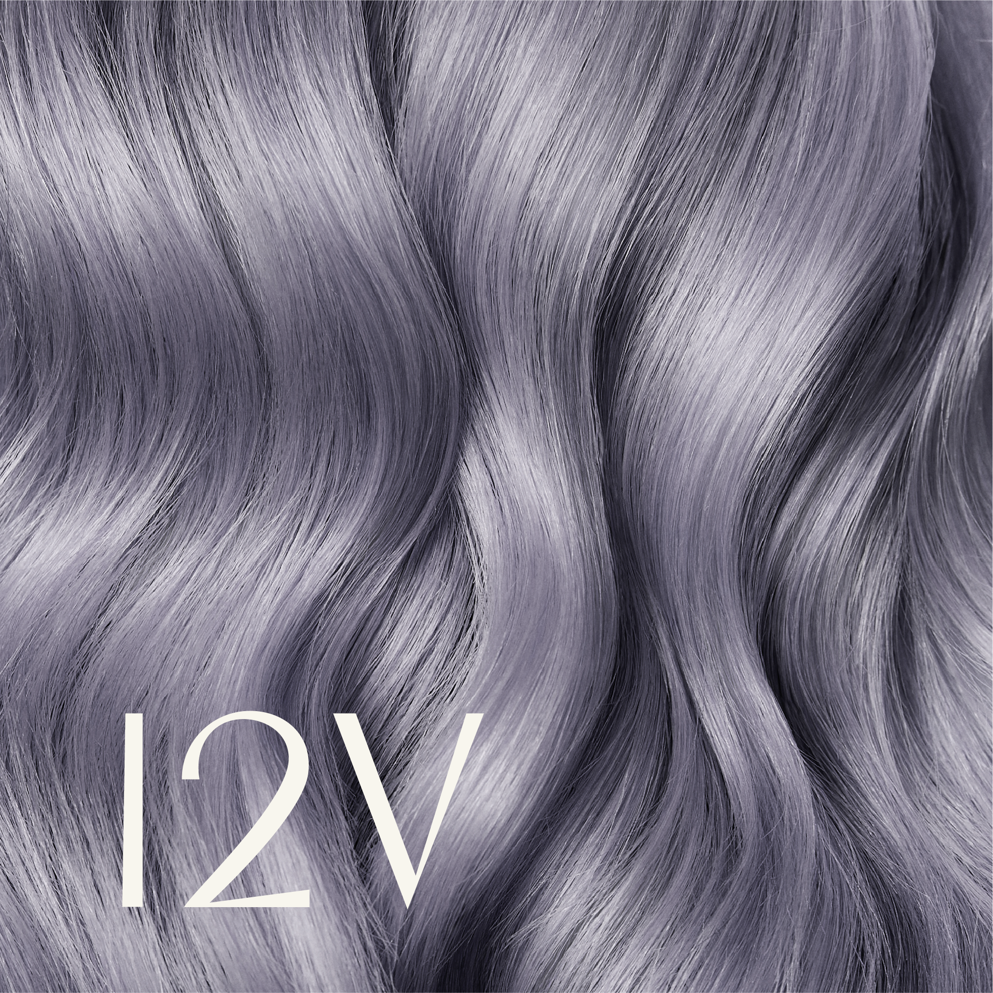 ‍True Color Shades (100% off)