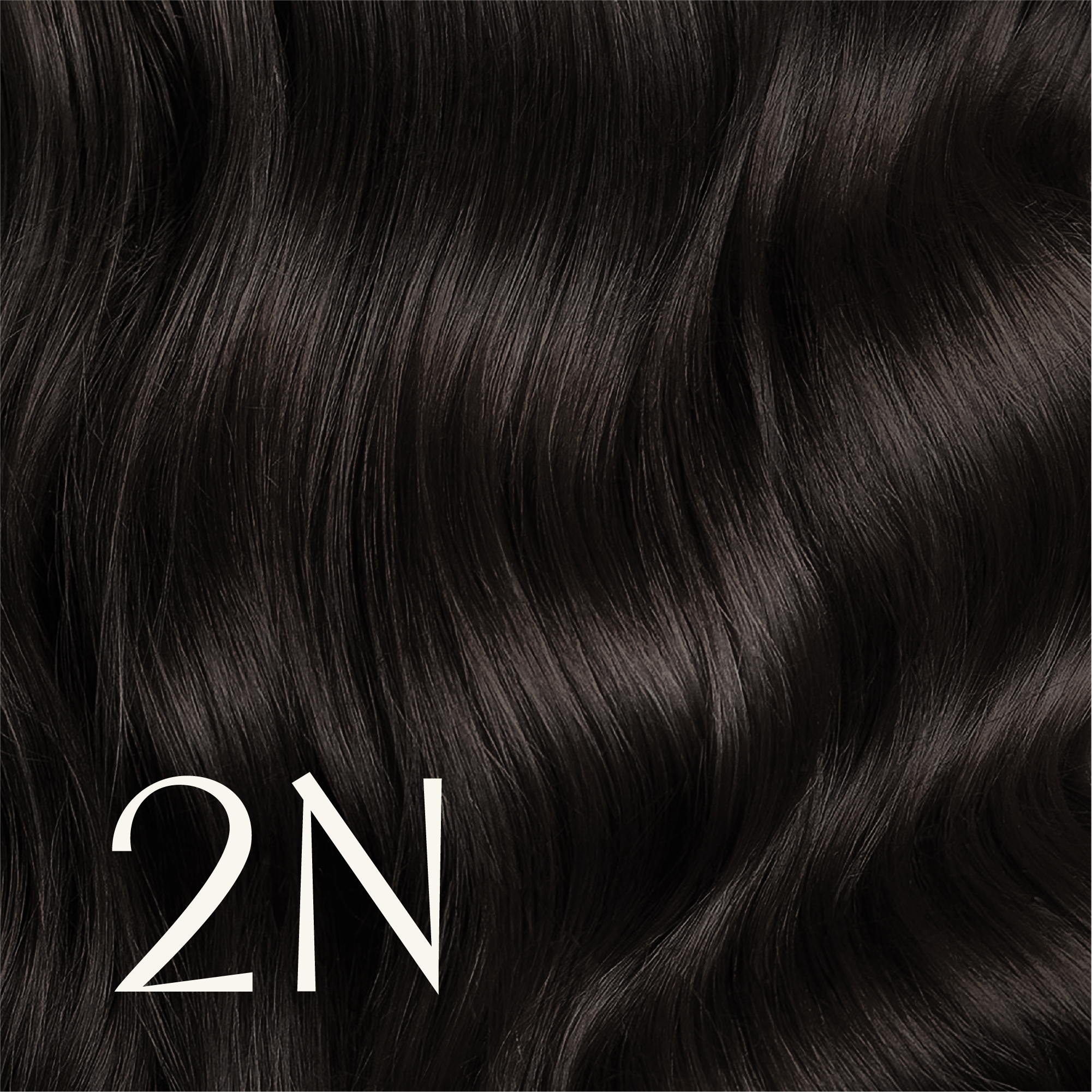 ‍True Color Shades (100% off)