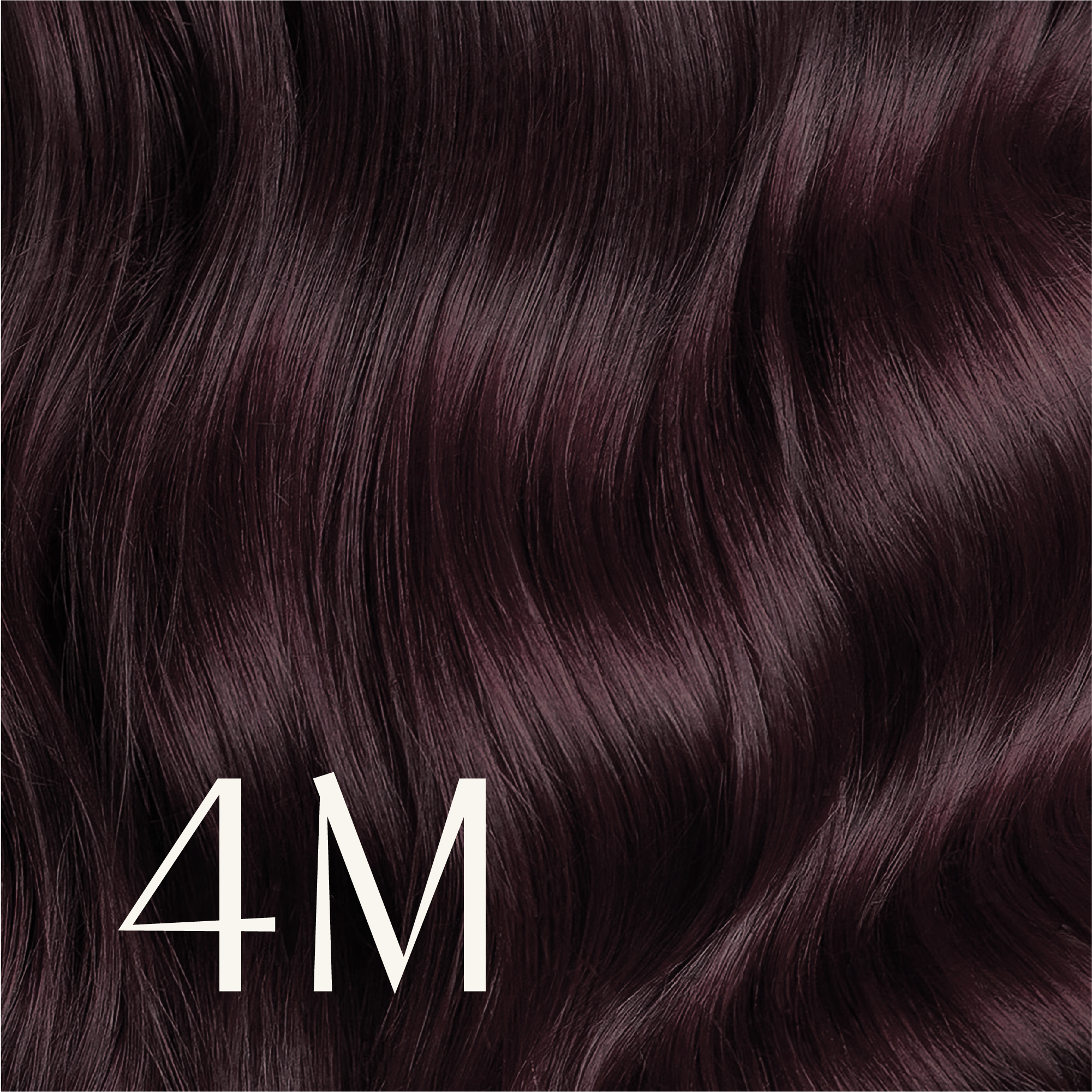 ‍True Color Shades (100% off)
