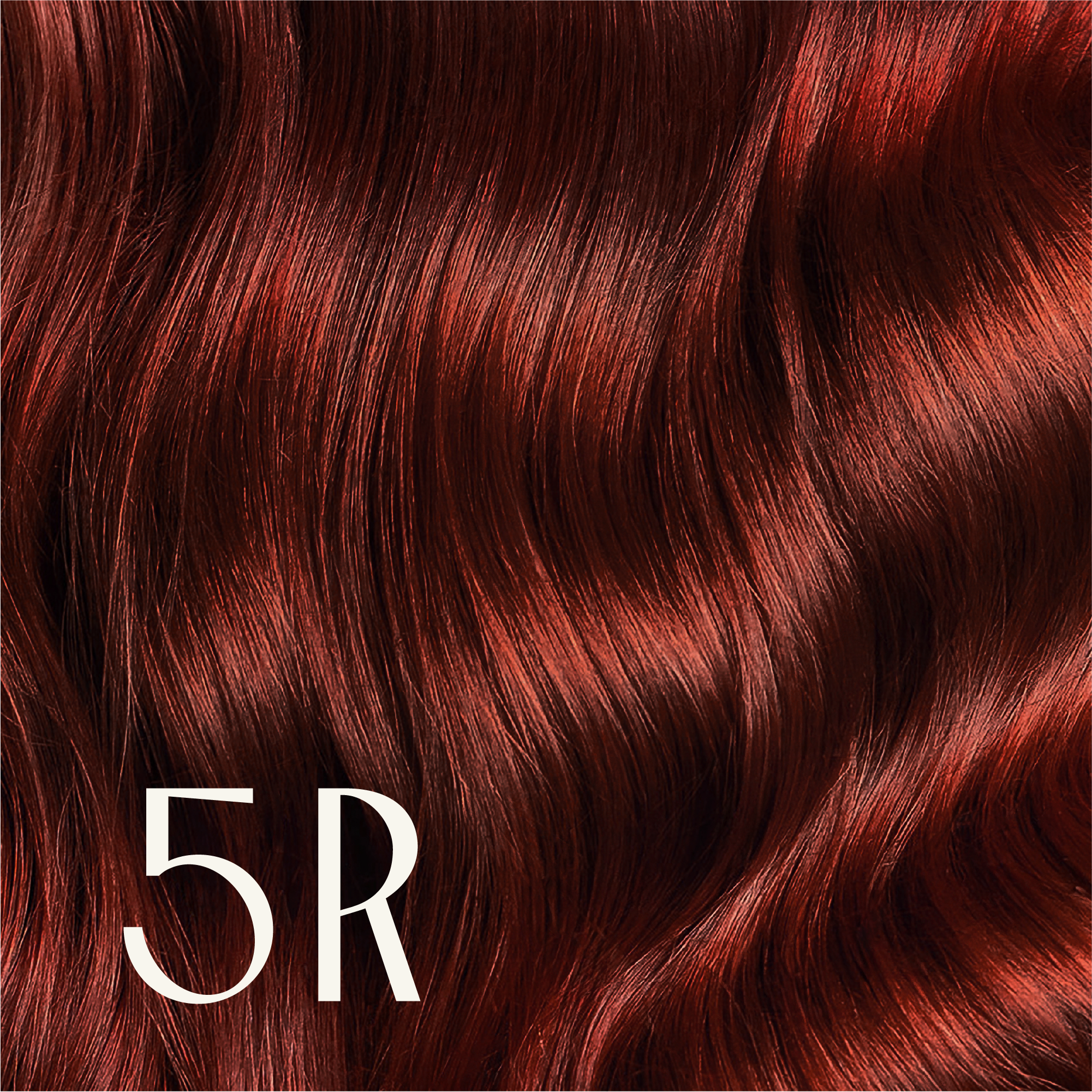 ‍True Color Shades (100% off)