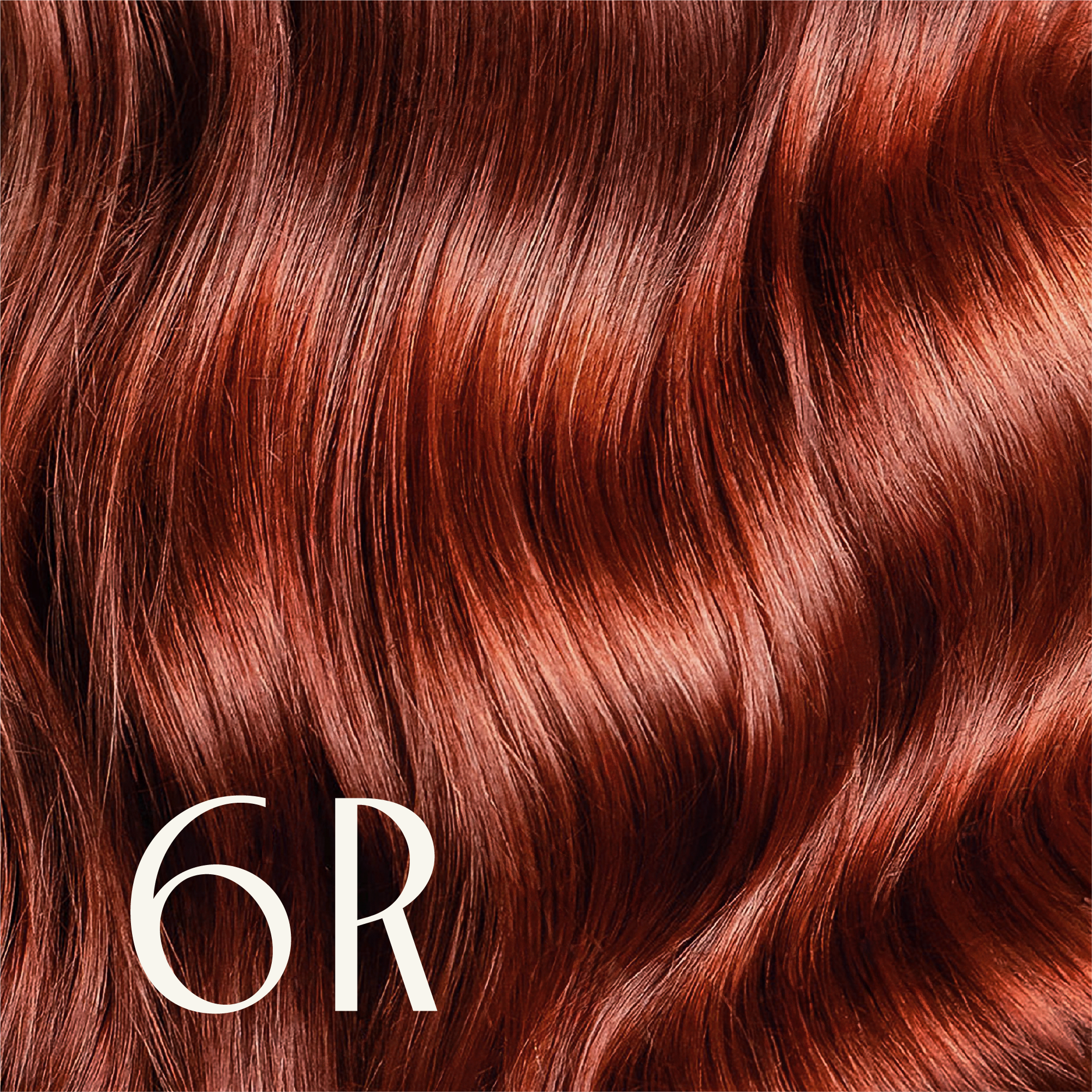 True Color Shades