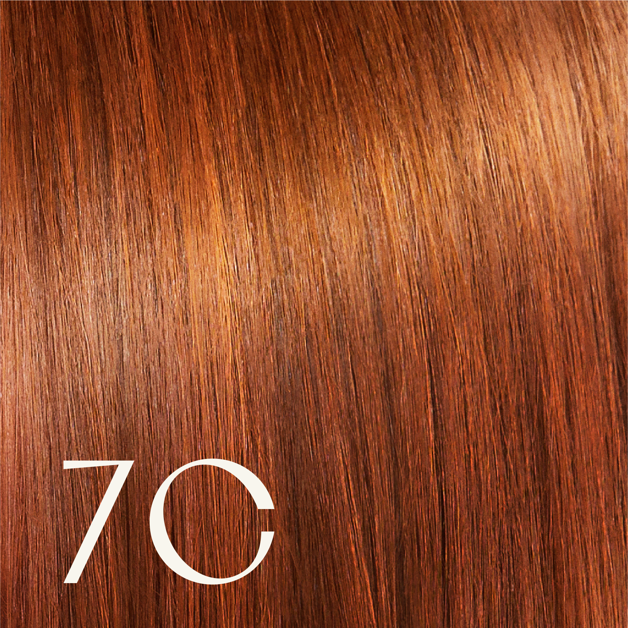 ‍True Color Shades (100% off)