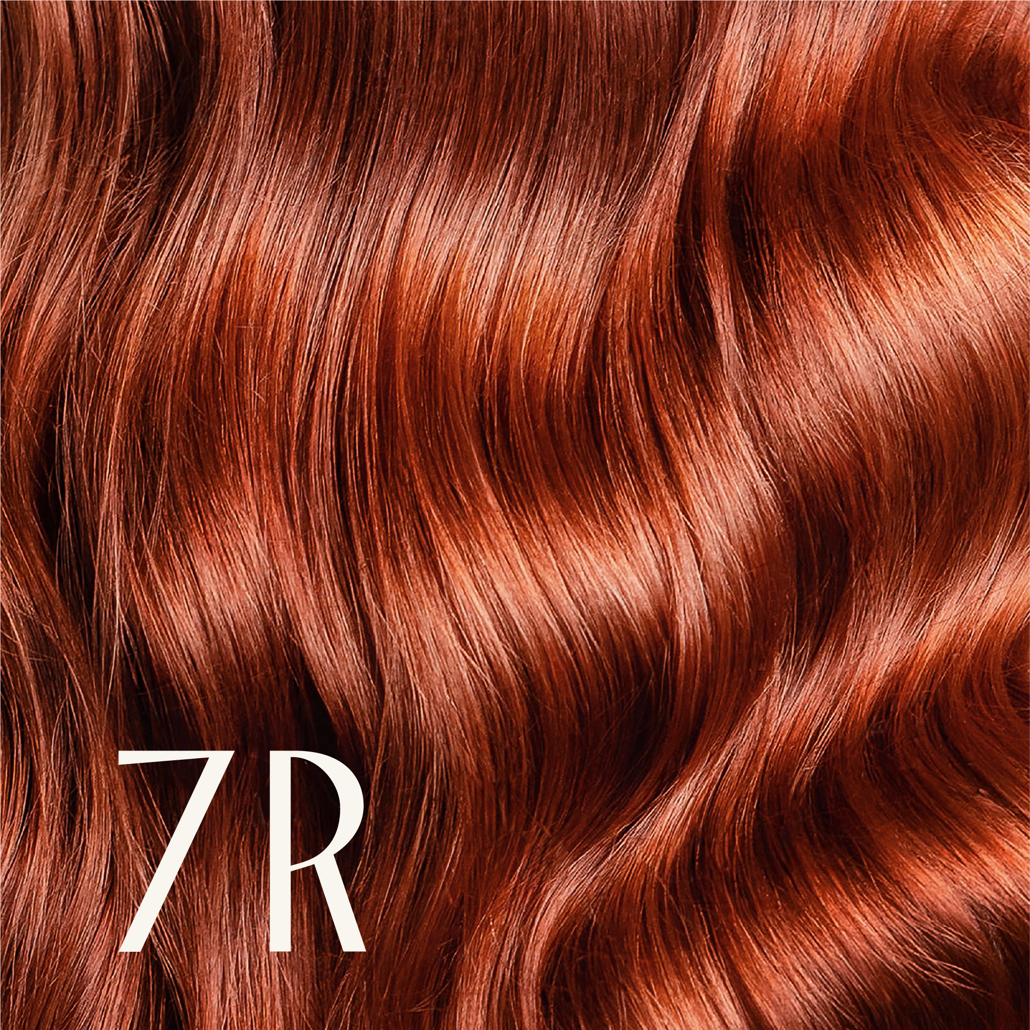 ‍True Color Shades (100% off)
