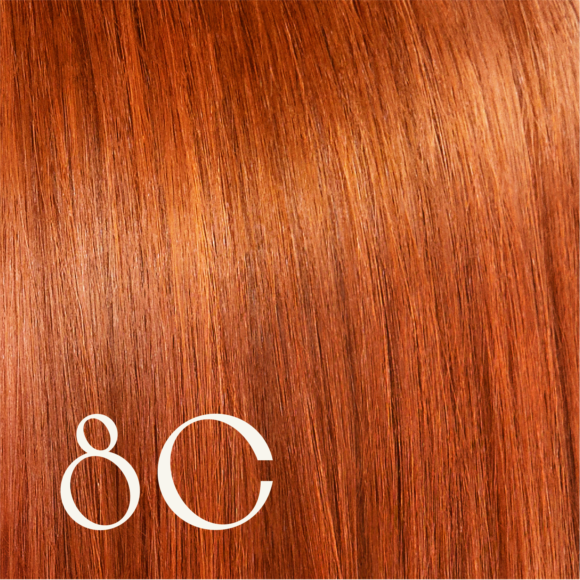 ‍True Color Shades (100% off)