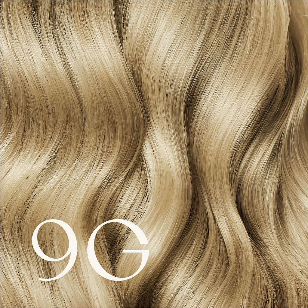 ‍True Color Shades (100% off)