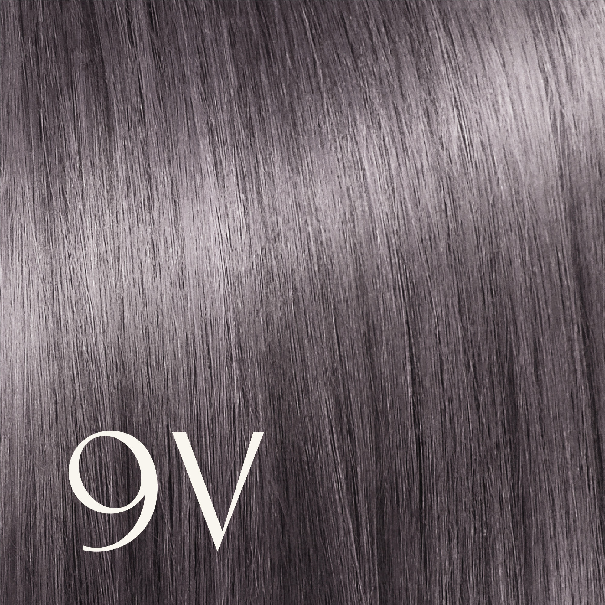 ‍True Color Shades (100% off)