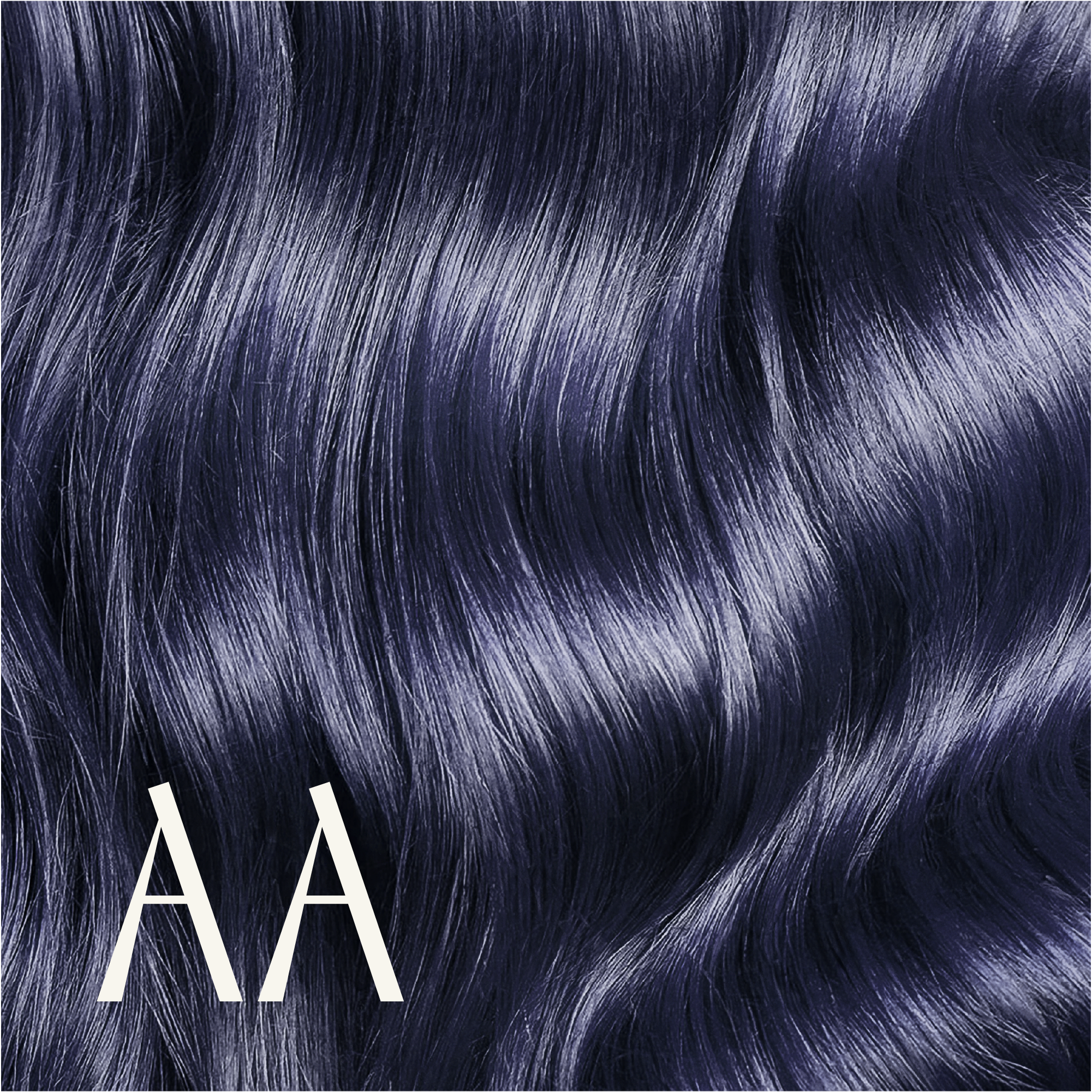 ‍True Color Shades (100% off)
