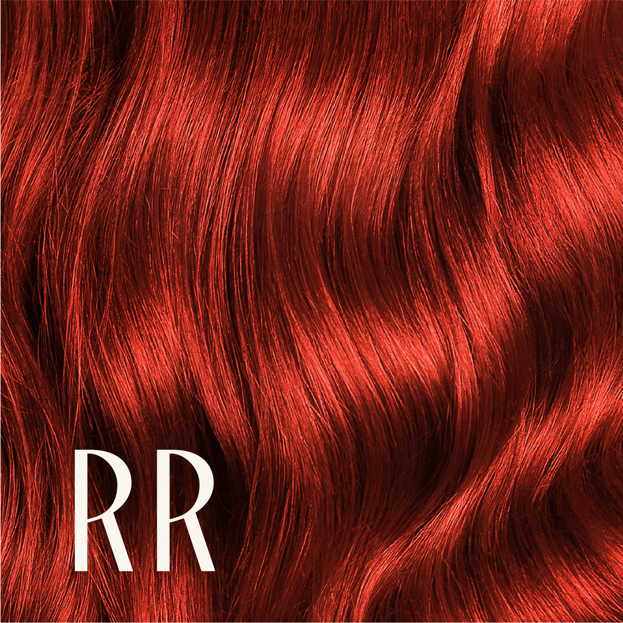 ‍True Color Shades (100% off)